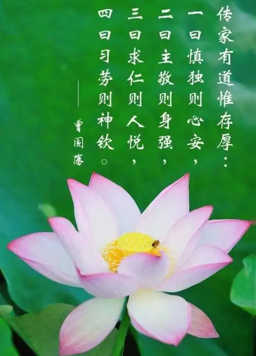 修己安人慎独慎言