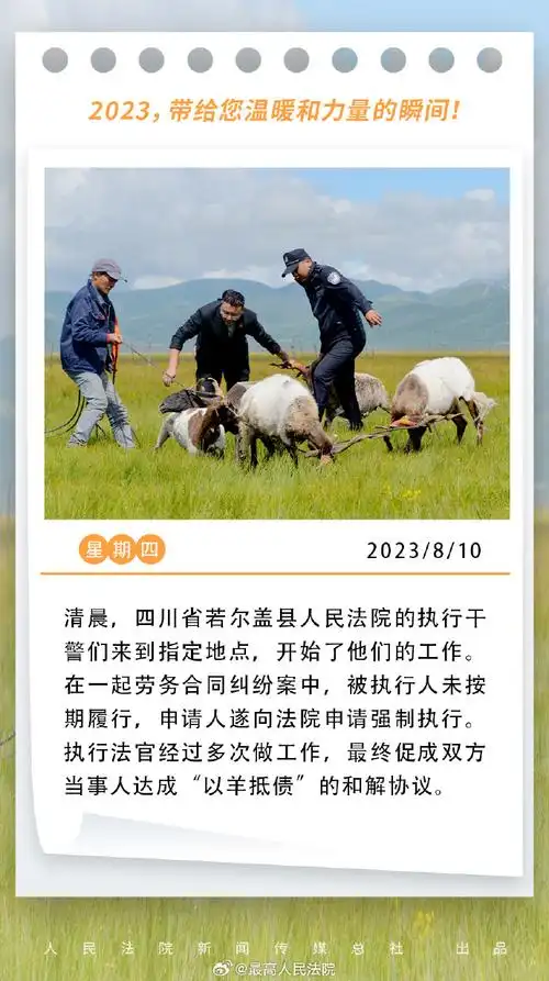 天平杯随手拍大赛