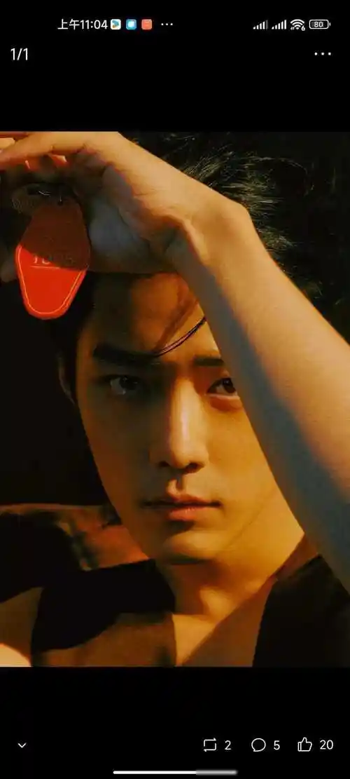 肖战与王一博演艺之路的探索与成长