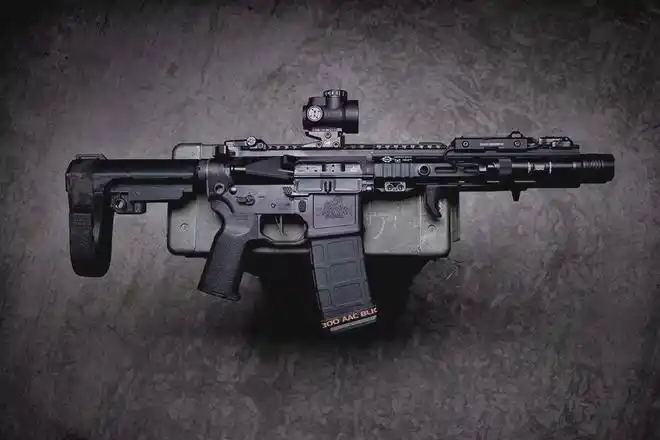 这就是现代步枪的起源|轻武器|枪弹|机枪_网易订阅