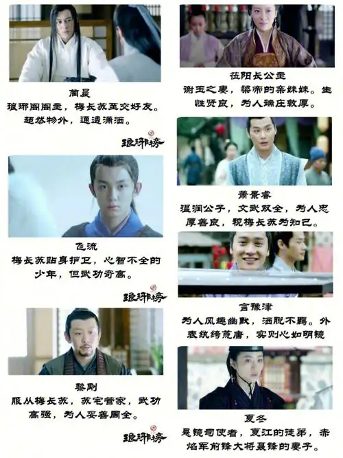 78电视剧琅琊榜人物篇二