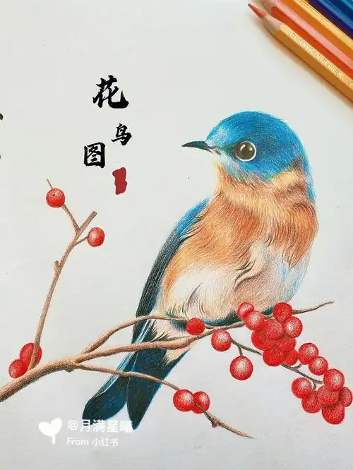 彩铅画  #手绘  #彩铅手绘 #绘画  #小鸟  #花鸟画  #绘画钩烫