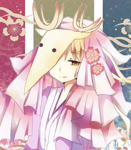 丰月神 夏目贵志 夏目友人帐