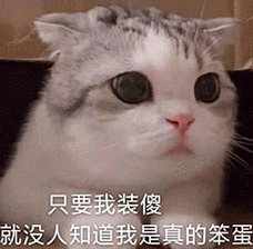 只要我装傻就没人知道我是真的笨蛋 - 沙雕小动物表情包