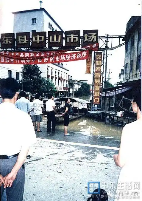 2001年田东特大洪水珍贵老照片