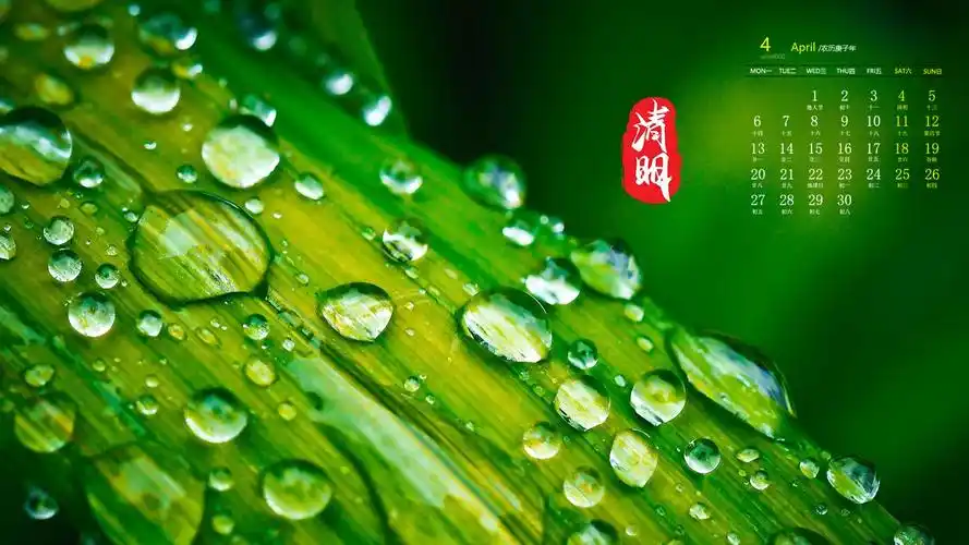 2020年4月清明养眼唯美高清日历壁纸