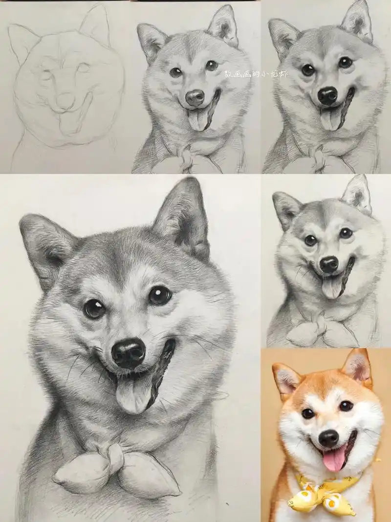 一起学画画 #素描动物 #画一只喵 #素描 - 抖音