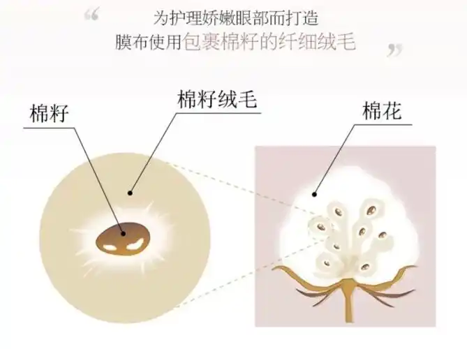 棉籽膜布成分天然赵露思推荐的日本沙龙级眼膜axxzia晓姿好用吗