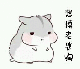 那些情侣聊天常用的表情包关于过节