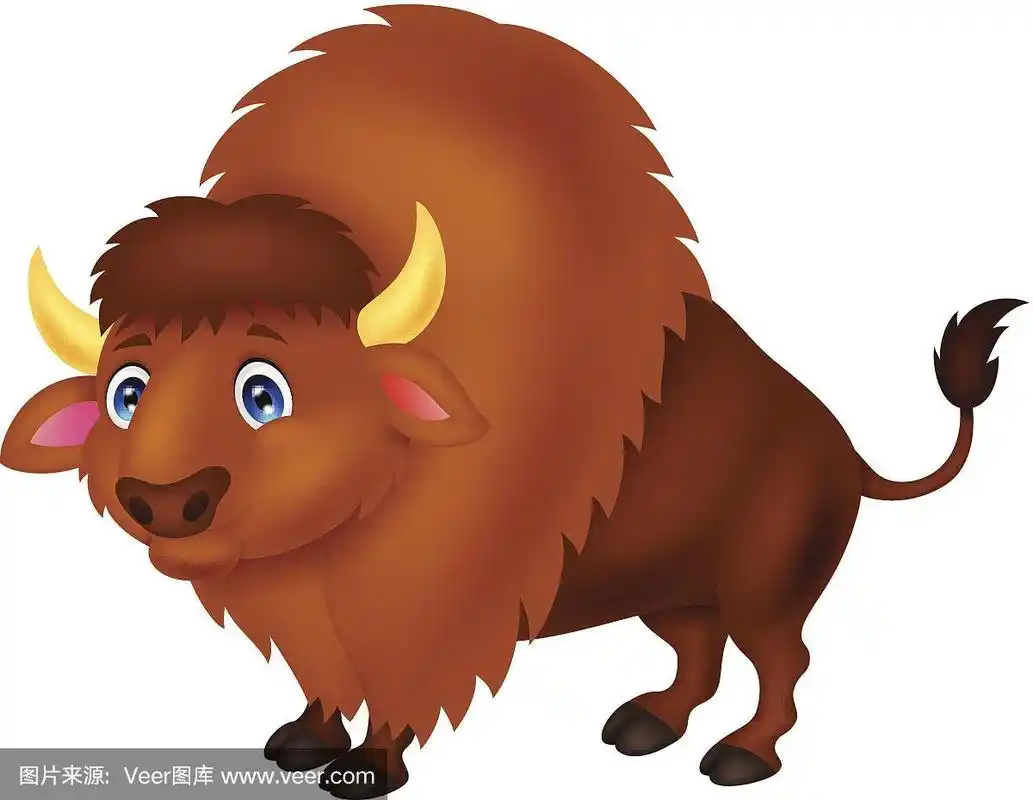野牛卡通