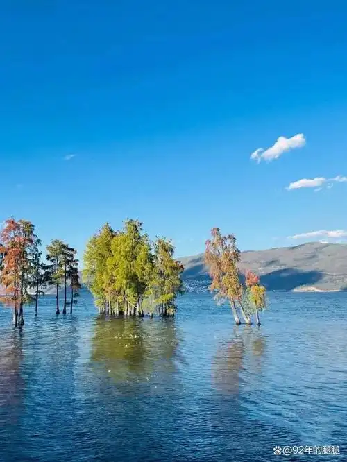 云南旅游攻略,云南拍照超级好看的景点推荐