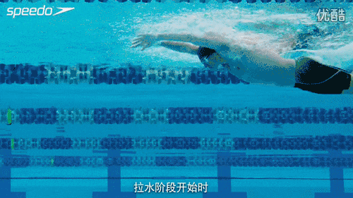 教练说有份蝶泳干货送给你!想要学会蝶泳,需要规避这几个错误