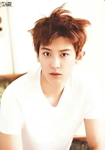 exo 朴灿烈 明星 美男