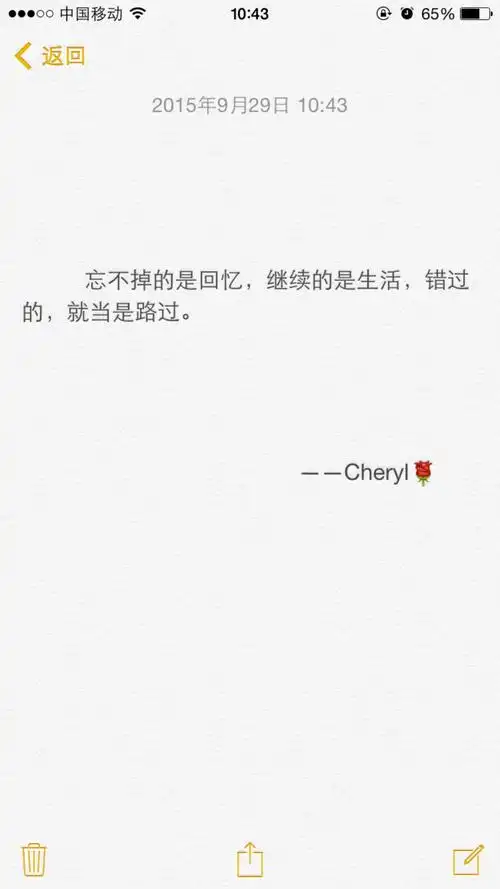 忘不掉的是回忆