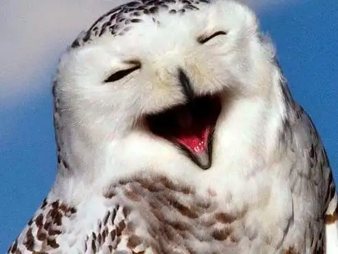 你笑起来真好看#你有多久开怀大笑了?