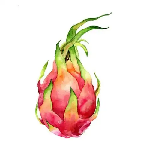 超赞的静物果蔬水彩欣赏,适合临摹练习的水彩水果素材!