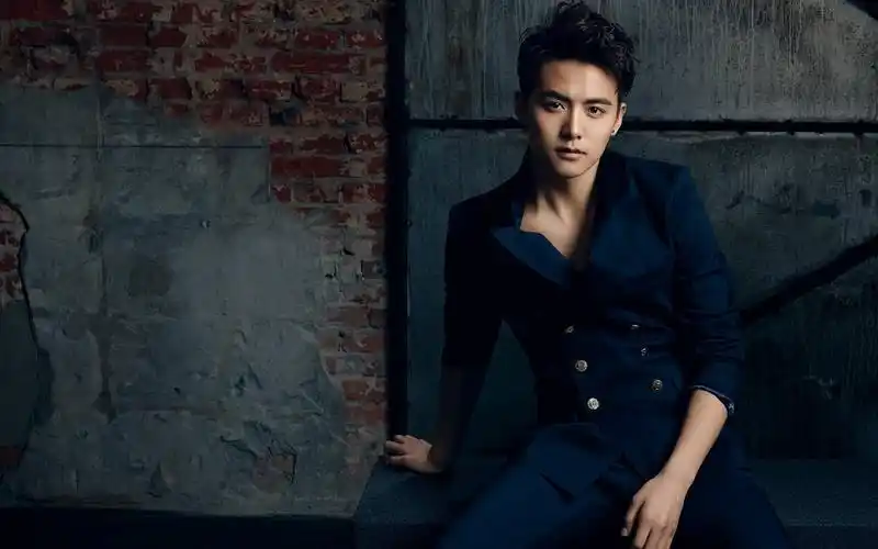 电脑壁纸 明星 大陆明星 狼系男友马天宇