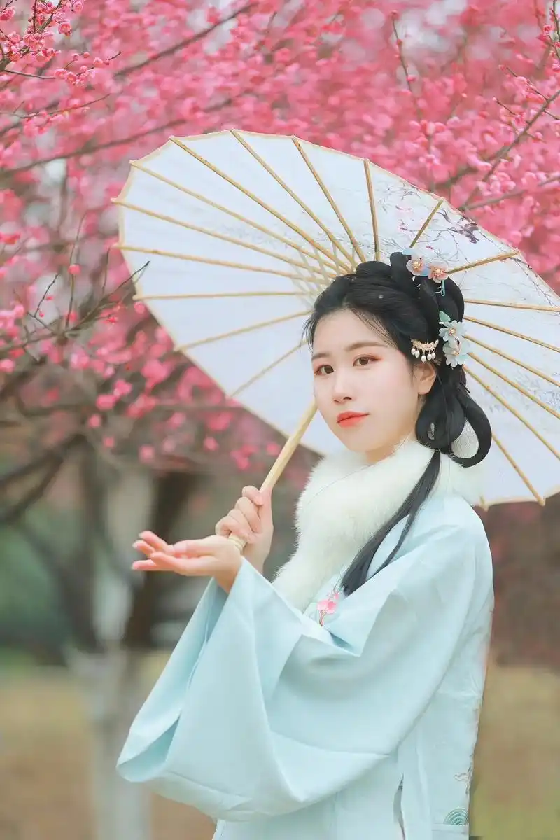 梅花古装人像写真