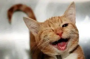 qq聊天傻笑大笑表情图片第二辑