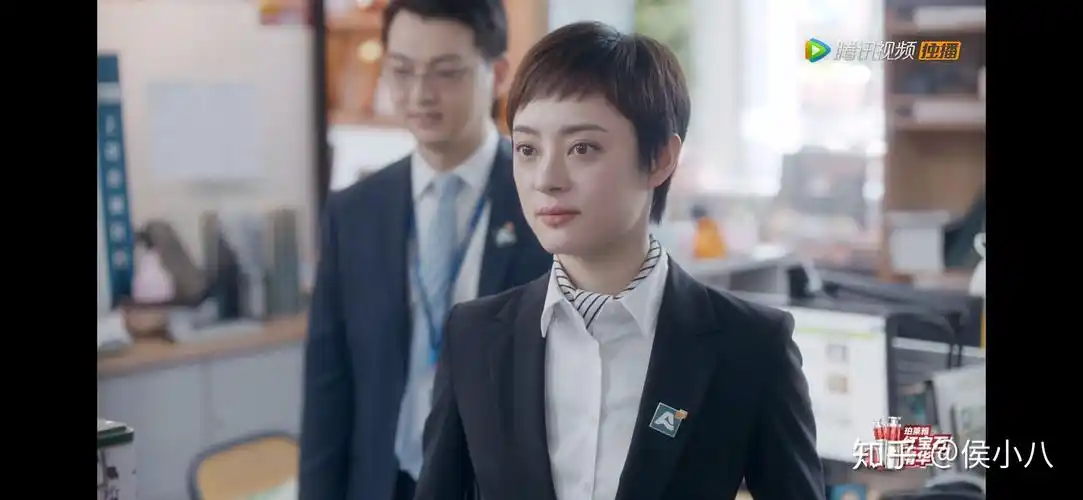 如何评价孙俪罗晋主演的电视剧安家