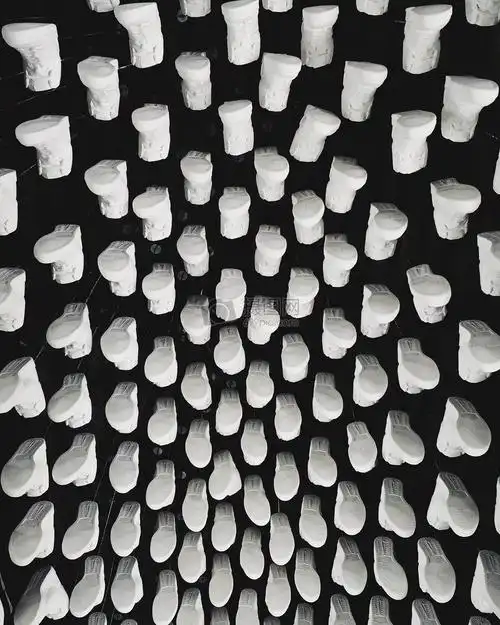 黑色和白色,图案,鞋,白,窃笑