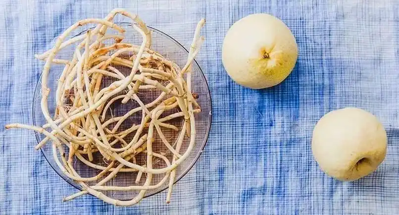 鱼腥草有4大功效,堪称"天然抗生素",秋天不吃就太可惜啦