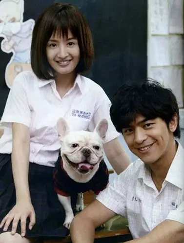 《我可能不会爱你》热播 林依晨陈柏霖甜蜜剧照盘点