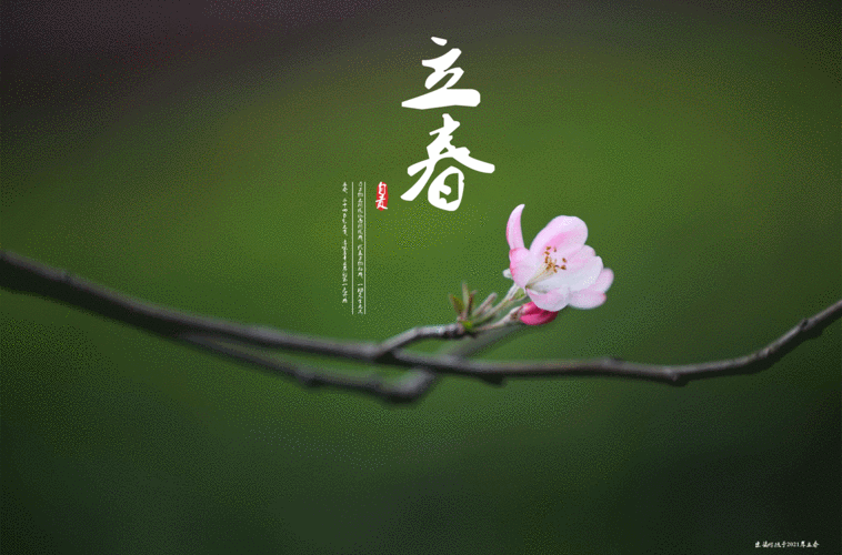 又是一岁立春时,万物萌苏山水醒.