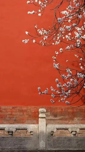 这些应景吉祥壁纸一定要收藏!