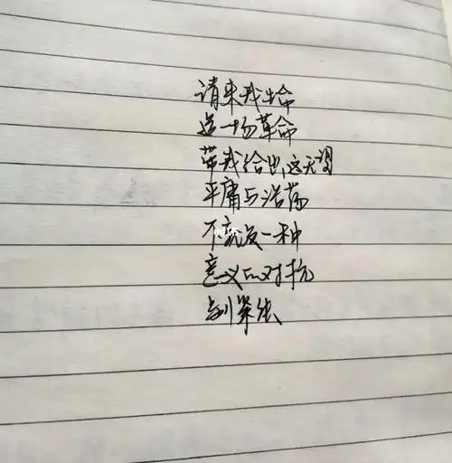 手写余生相歌词