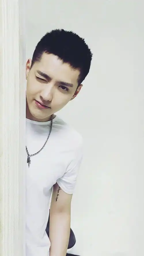 但在吴亦凡身上凰尚仿佛看到了一组男生的发型教学指南.