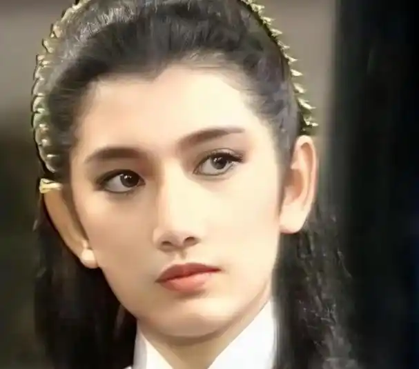 苏有朋饰演的明教主无忌,而周芷若,赵敏的扮演者高圆圆贾静雯也火的家