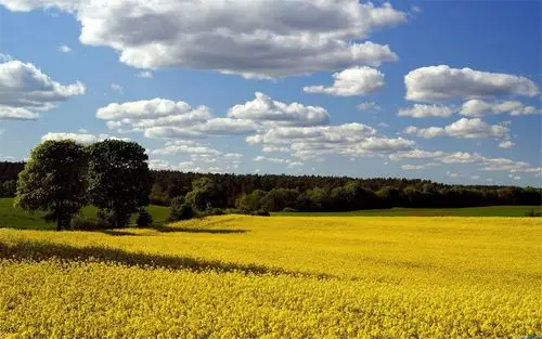 清新怡人的自然风景高清电脑桌面壁纸图片大全