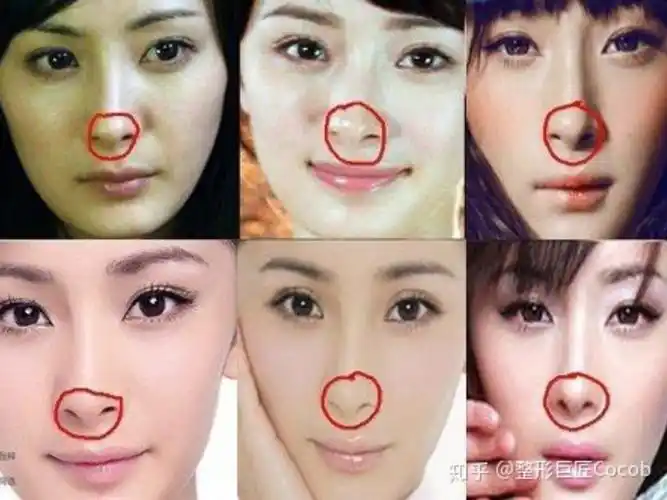 用明星来举例(在明星范围内比较)