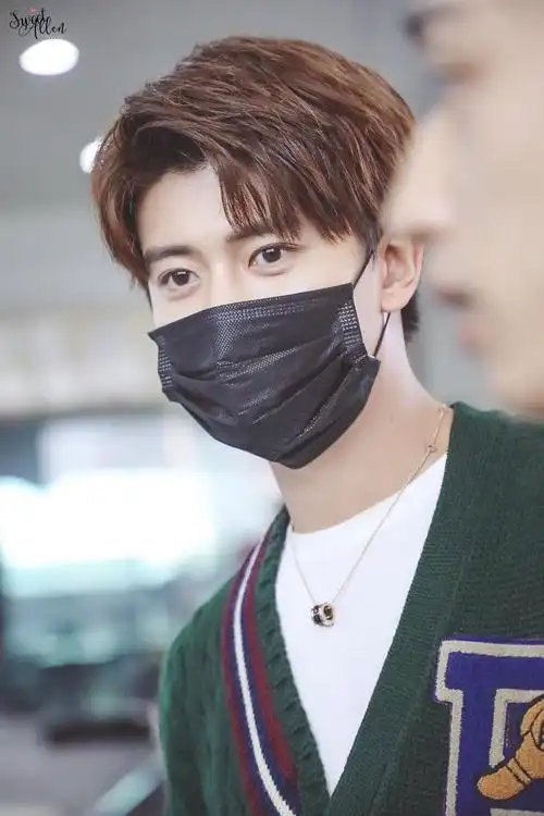 图片口罩任嘉伦水印见来源侵删