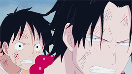 海贼王航海王路飞艾斯保护gif动图_动态图_表情包下载_soogif