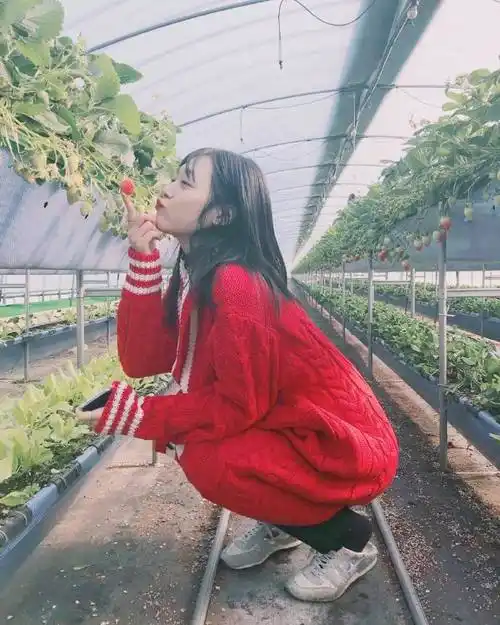 崔雪莉超话#崔雪莉头像##致美丽的崔雪莉#宝贝的侧脸也很绝 99 超级