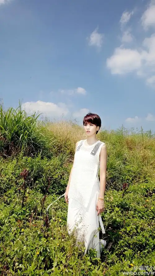 女明星曾沛慈安卓手机壁纸曾沛慈女明星女演员短发明星