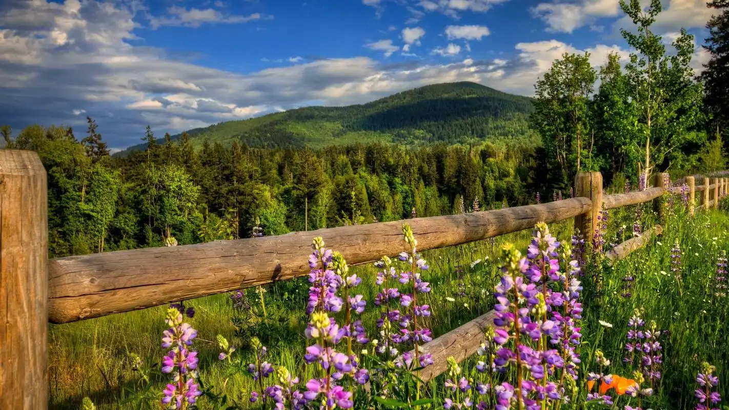 桌面壁纸 风景壁纸 唯美宁静自然风景篱笆高清电脑桌面壁纸1920_1080