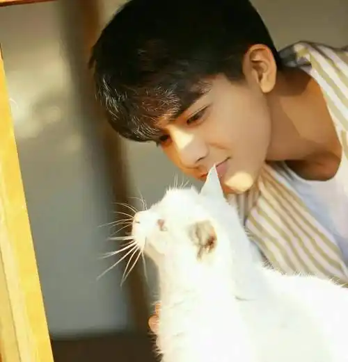 微信头像宋威龙