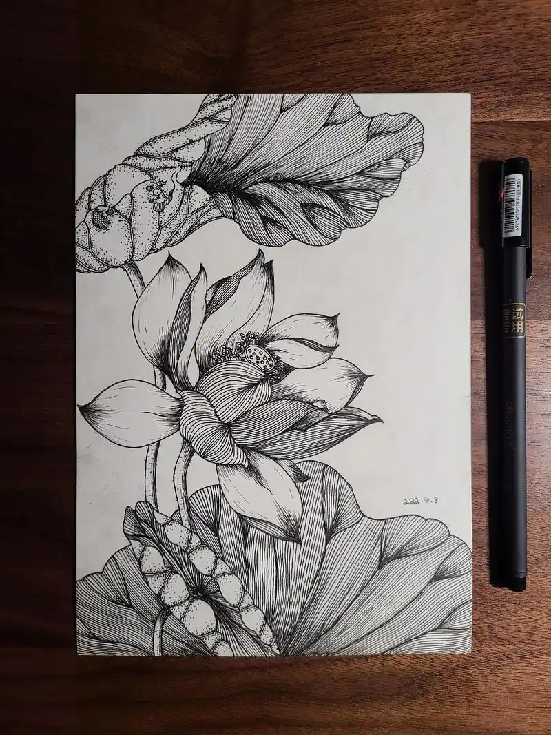 练习5#针管笔手绘 #绘画 #花卉 #线条 #黑白画 #线条 - 抖音