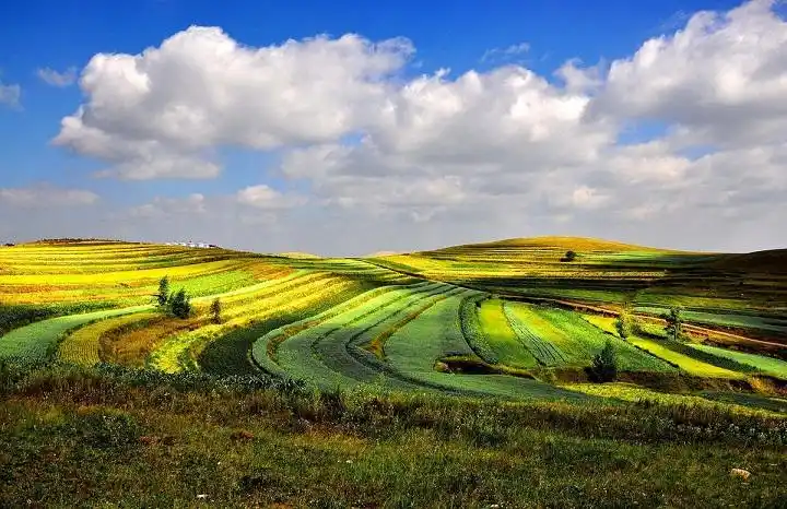 25-26日,我们在张北草原天路等你来