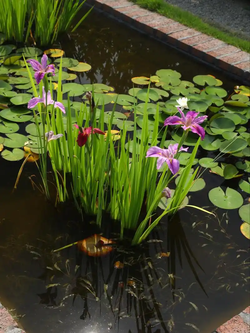 水池- 热门商品专区