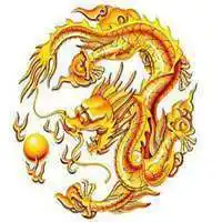 霸气龙的图片头像_微信头像图片大全