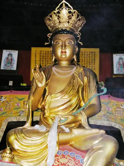 普贤菩萨 - 佛光普照 - 佛光普照