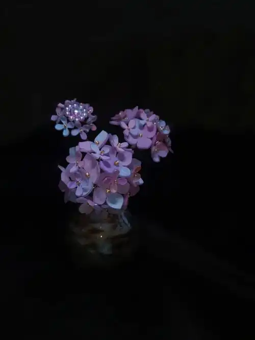 梦幻之夜今天做了绣球花