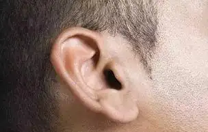 什么样的耳朵是富贵命?