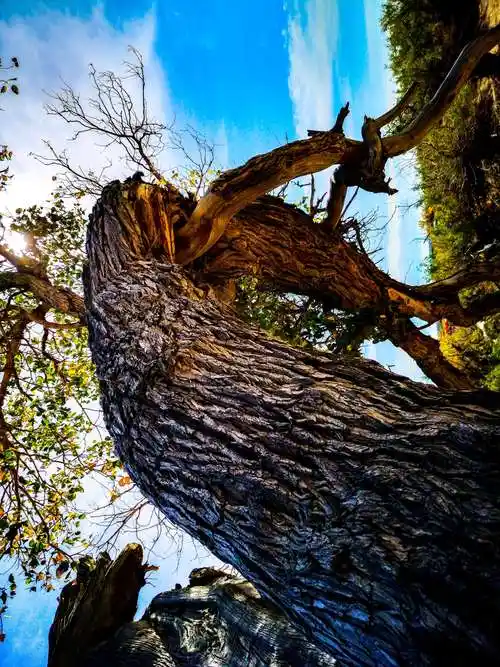 2020 我的手机摄影作品展.