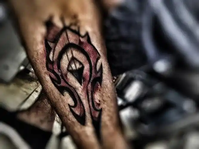 魔兽世界大电影出了之后,多年情感终于爆发,为afk做最后de留念.