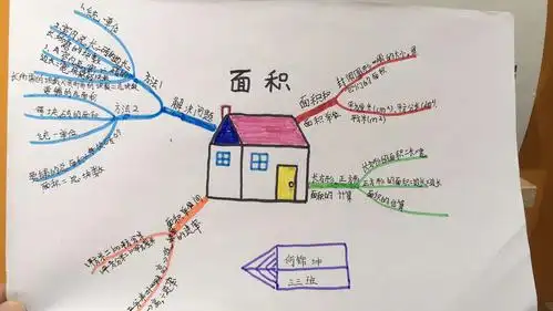 《面积》思维导图